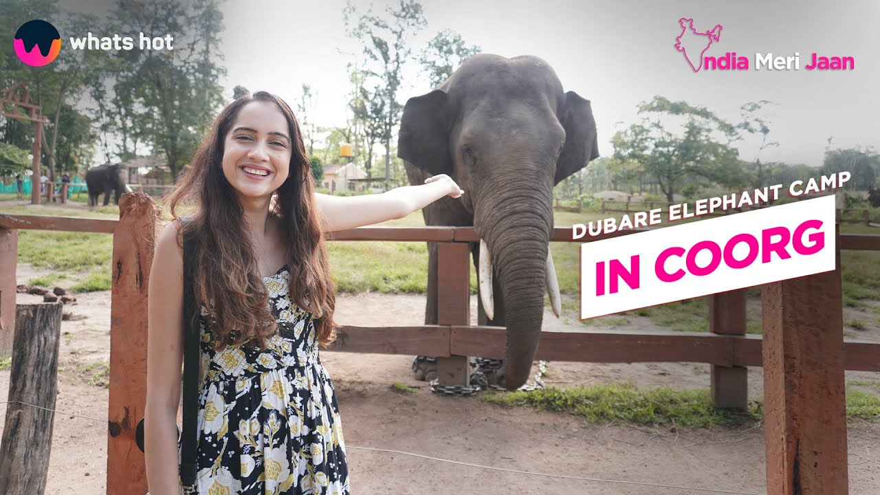 Get up, close and personal with elephants at Dubare Elephant Camp in Coorg