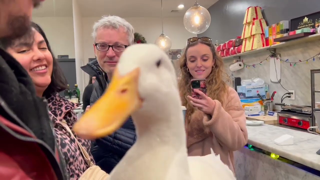 I took my duck to get some Coffee ☕️