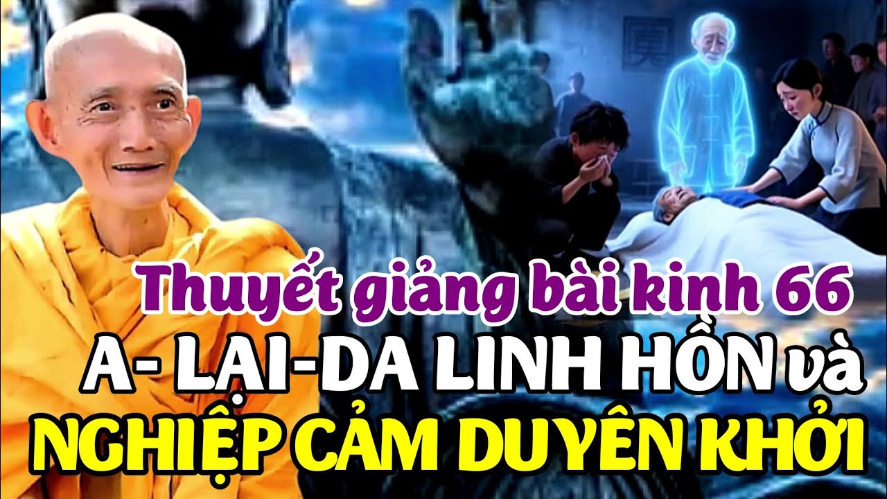 Thuyết giảng b&agrave;i kinh 66. A Lại Da linh hồn v&agrave; nghiệp cảm duy&ecirc;n khởi. Ht. Th&iacute;ch Gi&aacute;c Khang