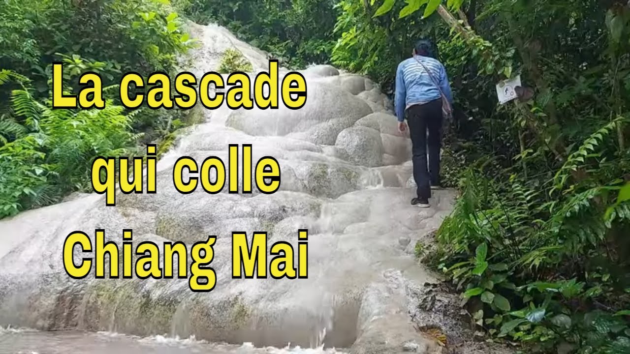 J'ai la cascade qui colle ! Sticky Waterfall (Bua Tong Waterfall) à Chiang Mai
