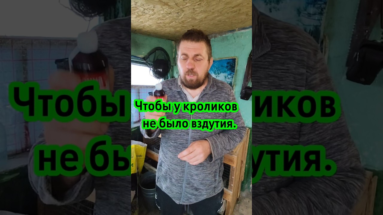 ​Кролики без вздутия! Секрет молочной кислоты 🐇 . #добрыйхуторянин
