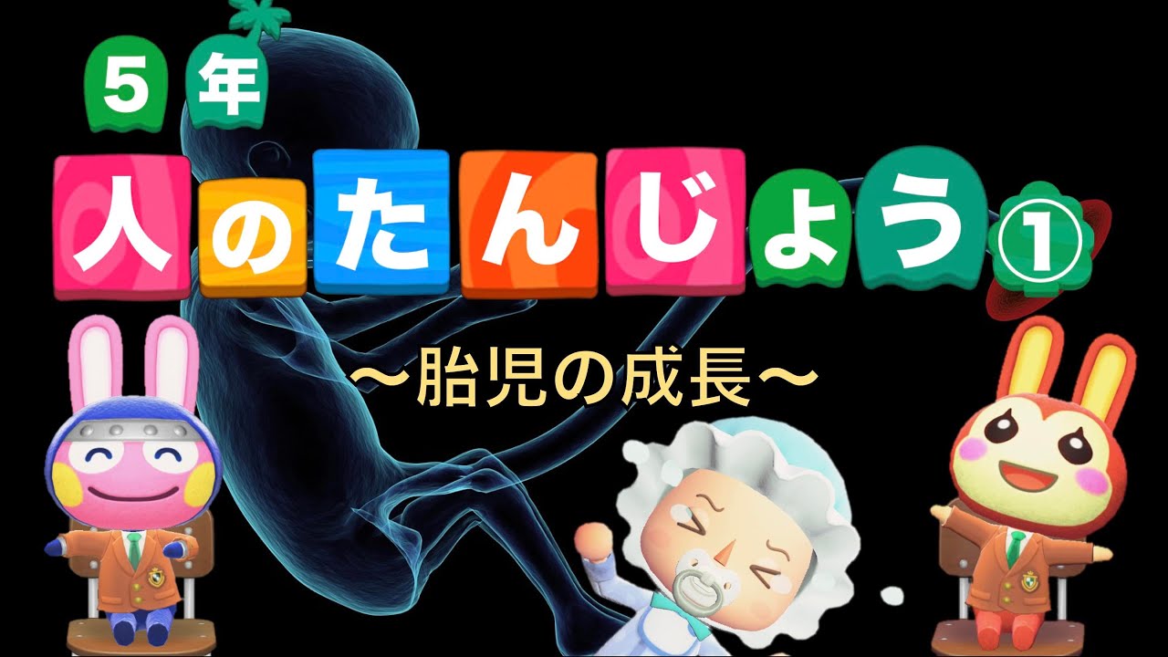 【小５理科】人のたんじょう①〜胎児の成長〜