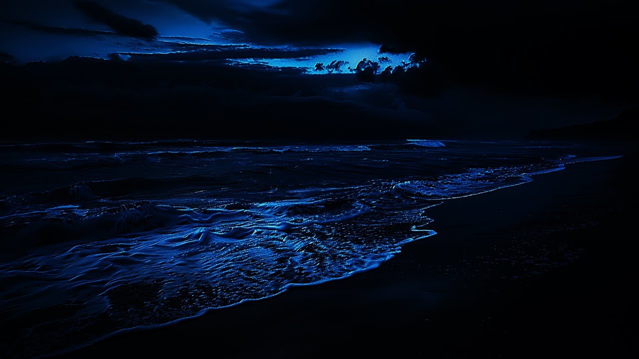 Night Ocean Ambience for Insomnia Relief 🌊 Deep Sleep Waves with Black Screen