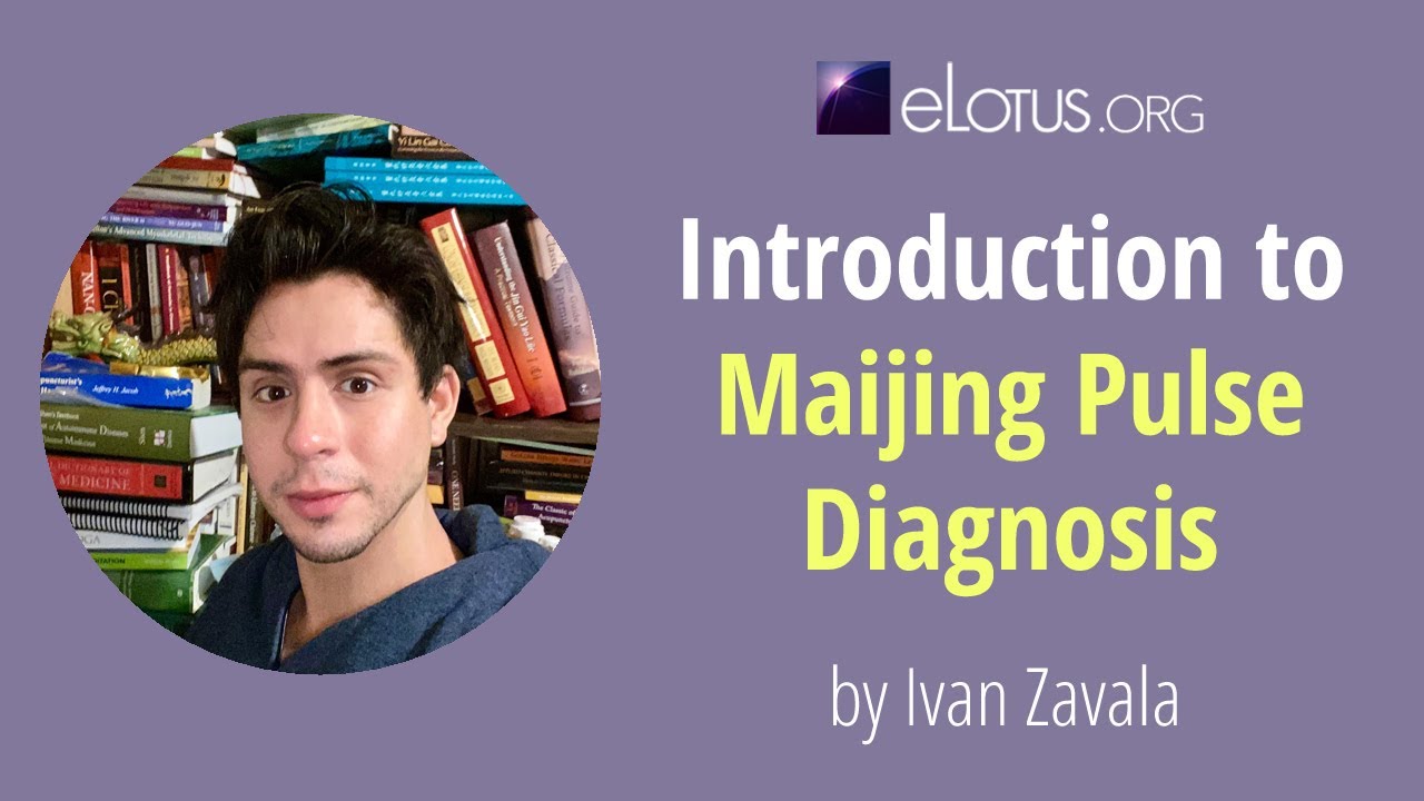 Introduction to Maijing Pulse Diagnosis