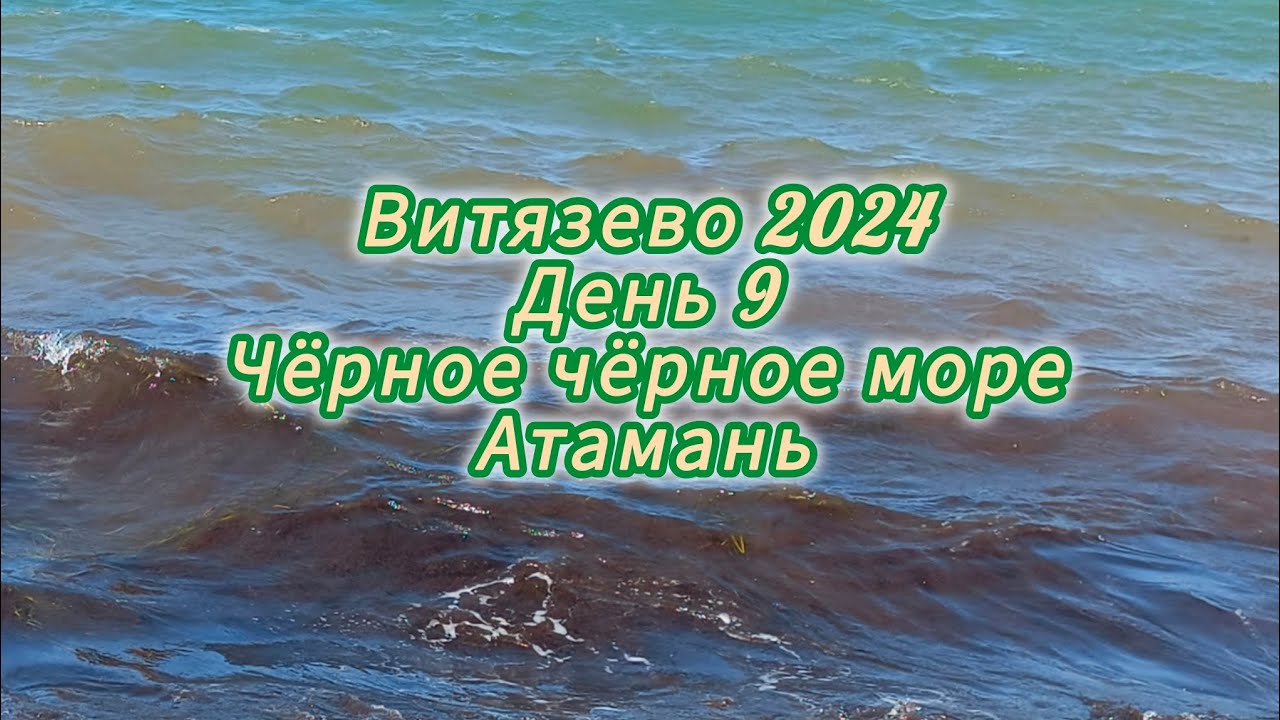 Витязево 2024. День 9. Атамань и Чёрное чёрное Азовское море