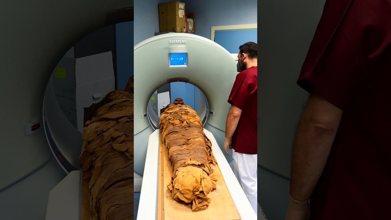 What They Discovered Inside Notre Dame Cathedral Shocked Archeologists #shorts