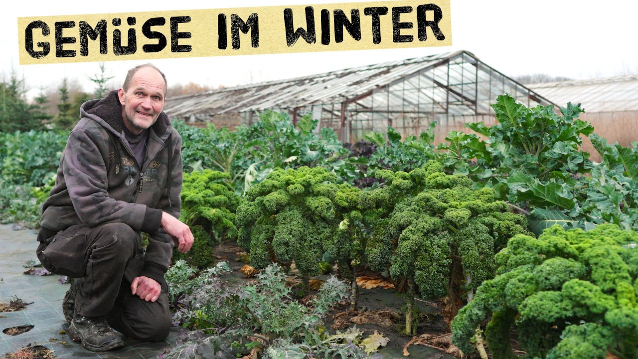 Diese Gemüse kannst du JETZT noch ernten (selbst nach Frost!)