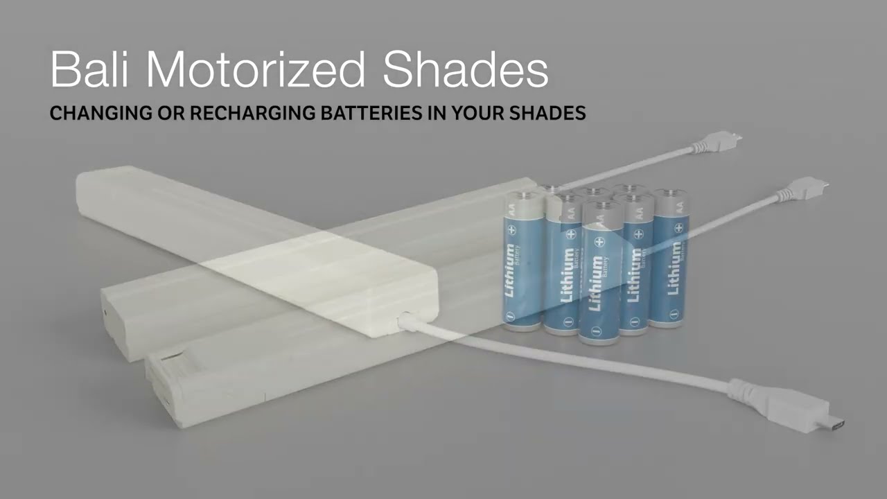 Bali Motorization | Changing or Recharging Batteries