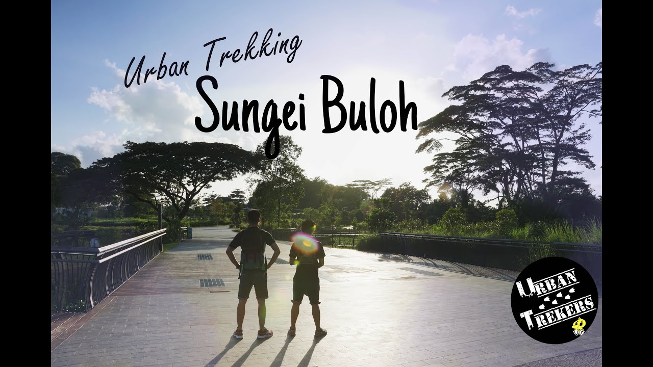 Urban Trekking | Sungei Buloh