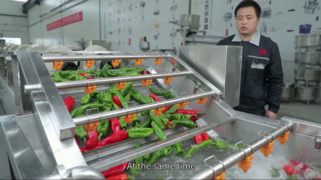 Fresh Fruits and Vegetables Process Euiqments Factory