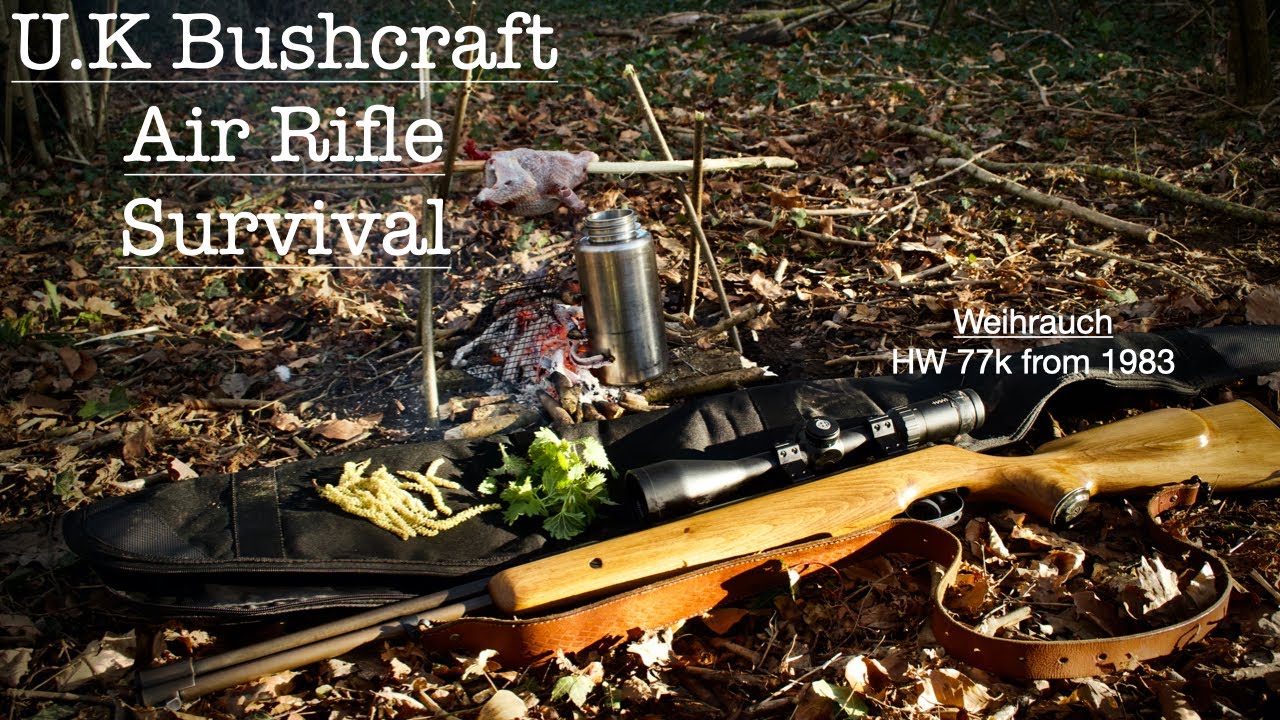 Why You Should Get an Air Rifle. UK Survival