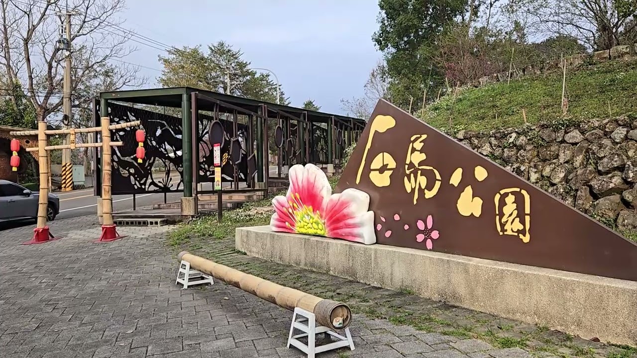 南投縣鹿谷鄉 小半天櫻花