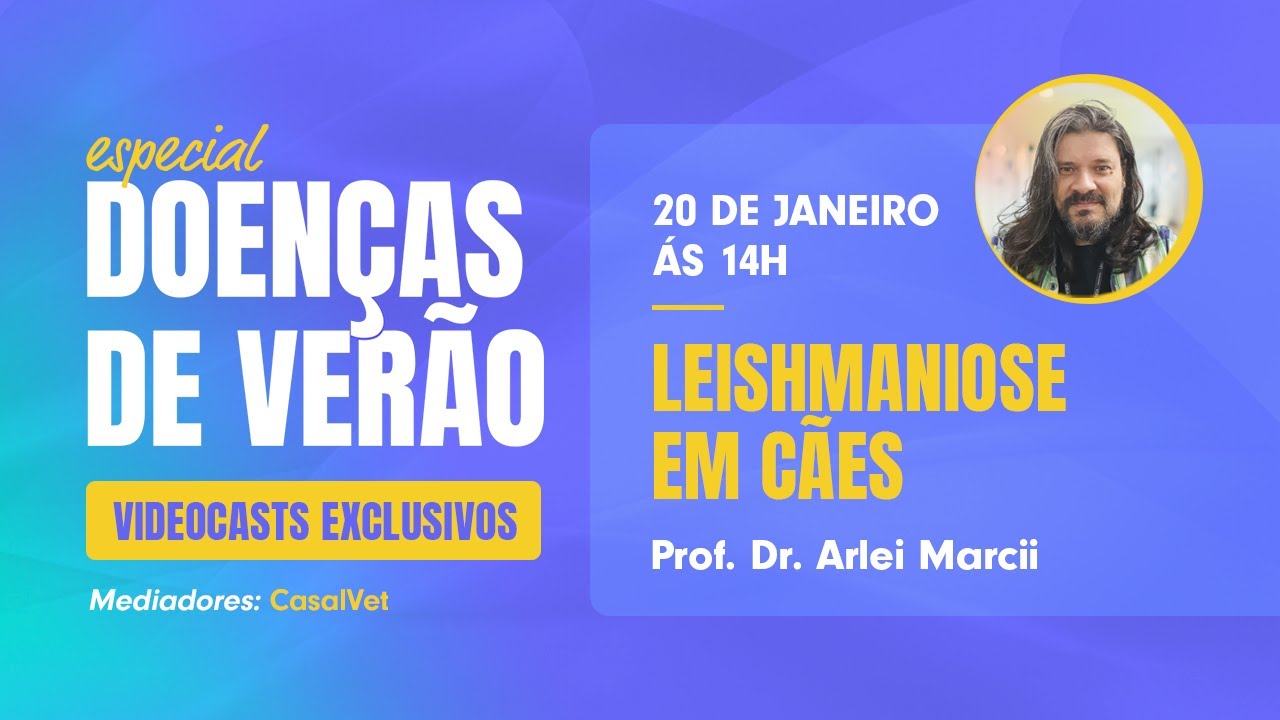 Especial: Doenças do verão - Leishmaniose em cães
