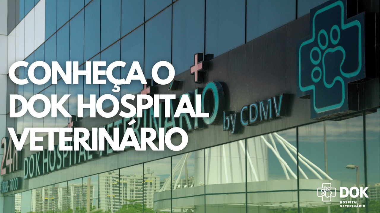 Hospital Veterinário 24h: Conheça a Estrutura Completa do DOK
