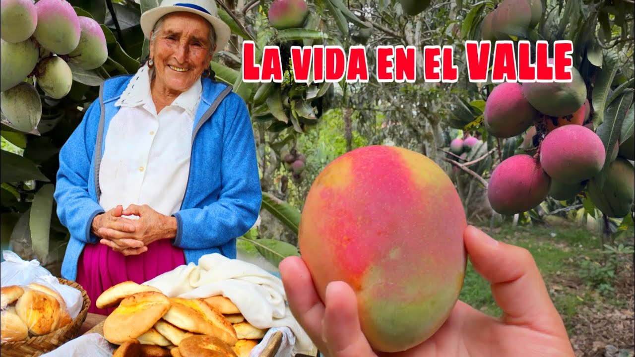 La VIDA entre VALLES y MONTAÑAS 🥭🏔️ Josué y Elie 