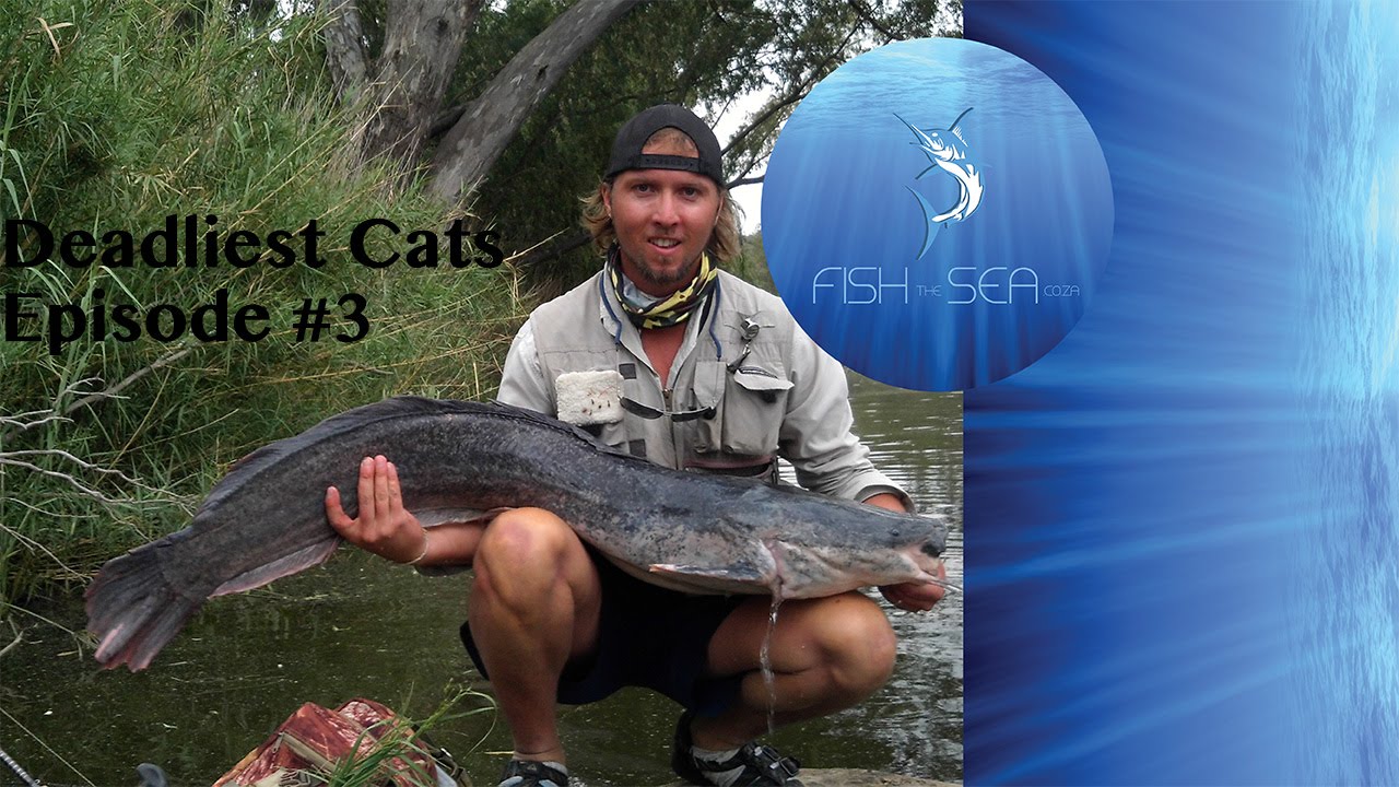 Catfish On Lure: Deadliest Cats Episode 3 | Fish The Sea | Casting & Calling For Barbel