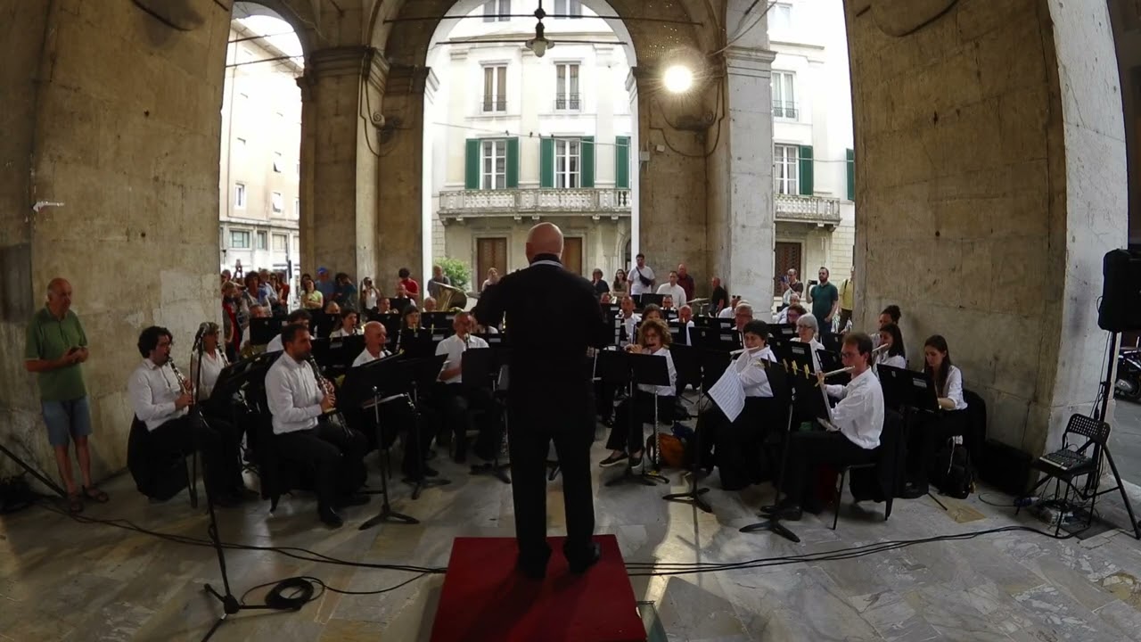 11    BIS    estratto da Sul Bel Danubio Blu    Johann Strauss Jr