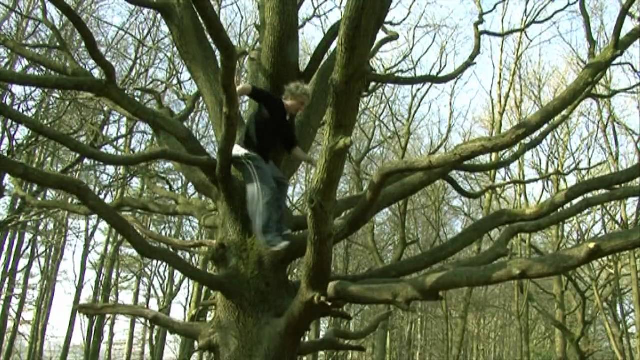 Nuperspektiv: Nature's challenges