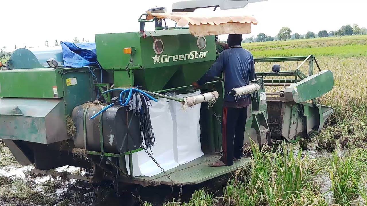 The Tractors 96 - Combine Harvester GREENSTAR sang BUTO IJO sahabat Petani untuk panen Padi & Jagung
