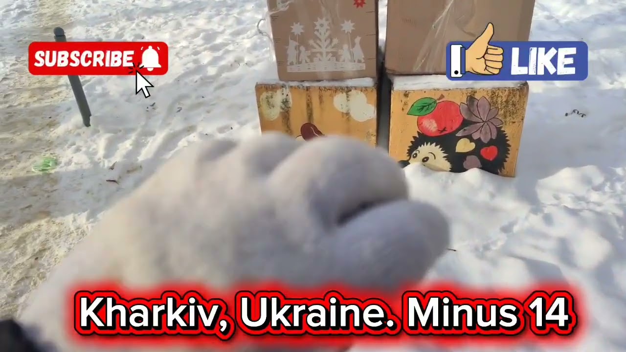 27.01.2026. (14:14) Kh, Ua. Reflections on philosophy, in - an anxious morning, frost, and snow!