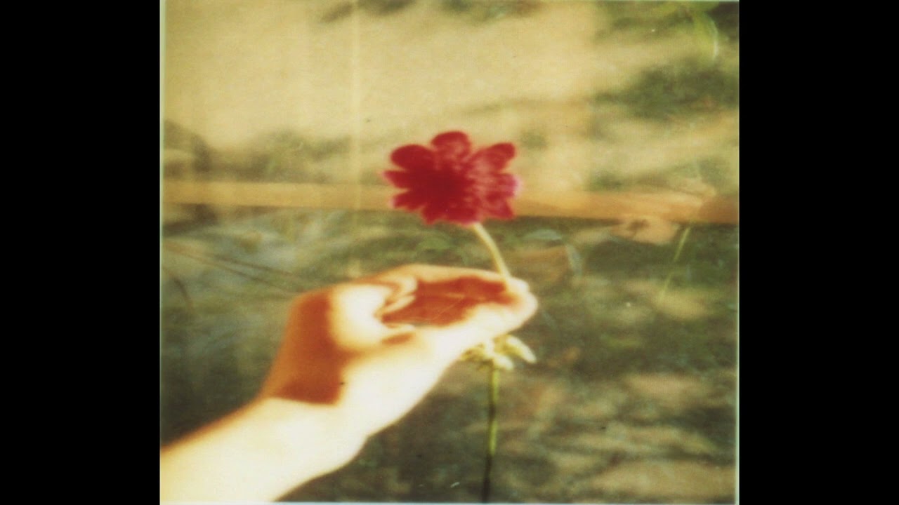 ✰free// 