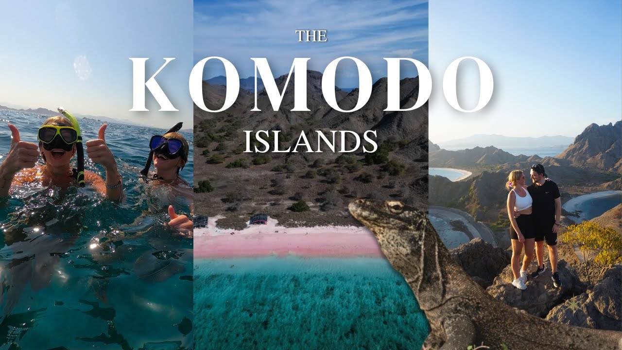 4 Days Sailing The KOMODO ISLANDS - I Nearly Got Eaten By A WHALE SHARK! | Labuan Bajo, Indonesia 🇮🇩