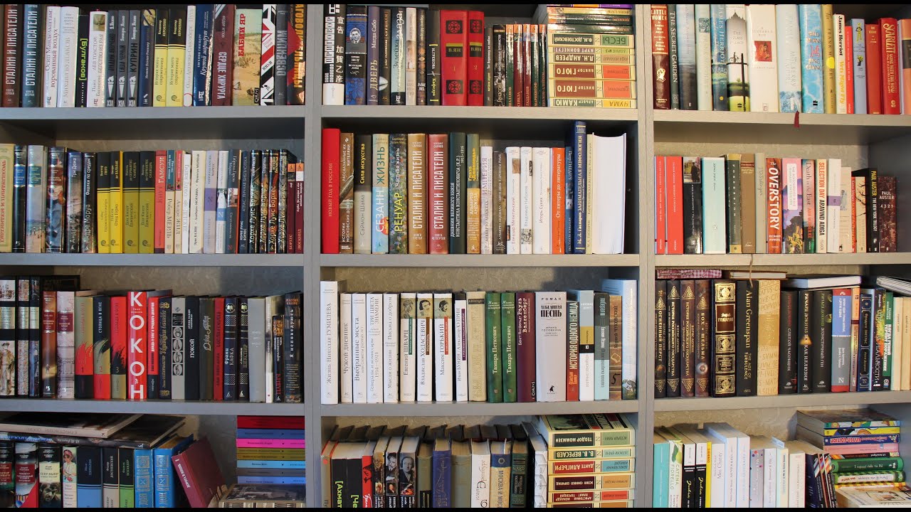 КНИЖНЫЕ ПОЛКИ #1