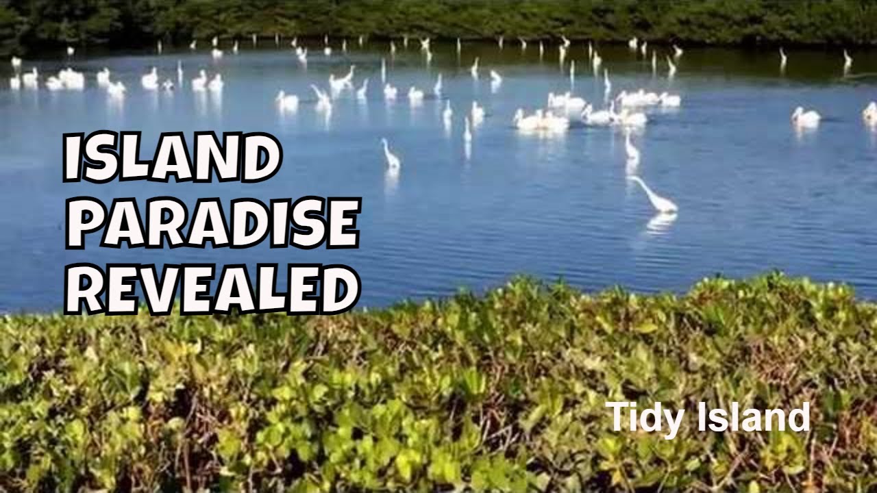 Secrets of the Bird Sanctuary: Behind-the-Scenes Tour