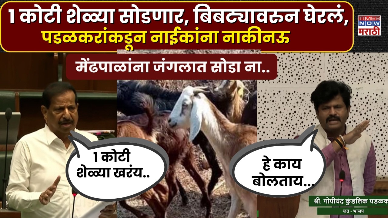 Gopichand Padalkar On Ganesh Naik : शेळ्या सोडणार, बिबट्यावरुन घेरलं, पडळकरांकडून नाईकांना नाकीनऊ