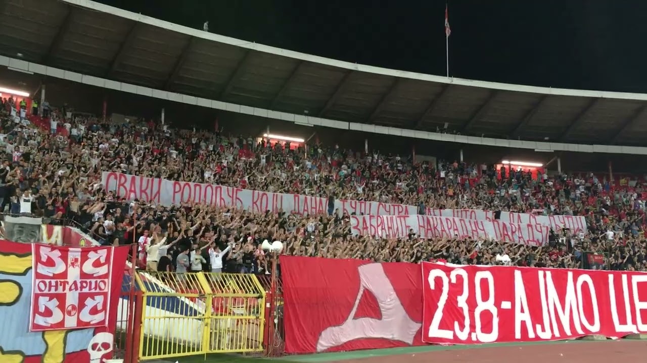 Delije - BEBE NEK SE RAĐAJU, PORUKA JE SEVERA! | Crvena zvezda - Voždovac 4:0