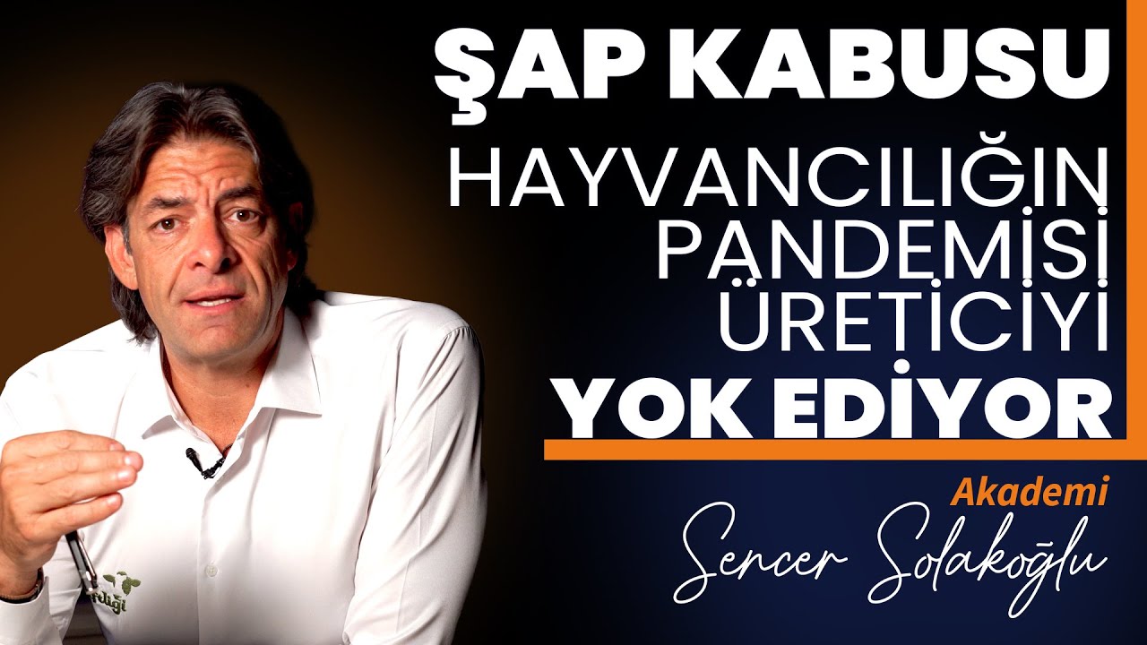 Şap Hastalığı Kabusu! Bilimsel Gerçekler, Aşılama Hataları ve Biyogüvenlik Rehberi |Sencer Solakoğlu