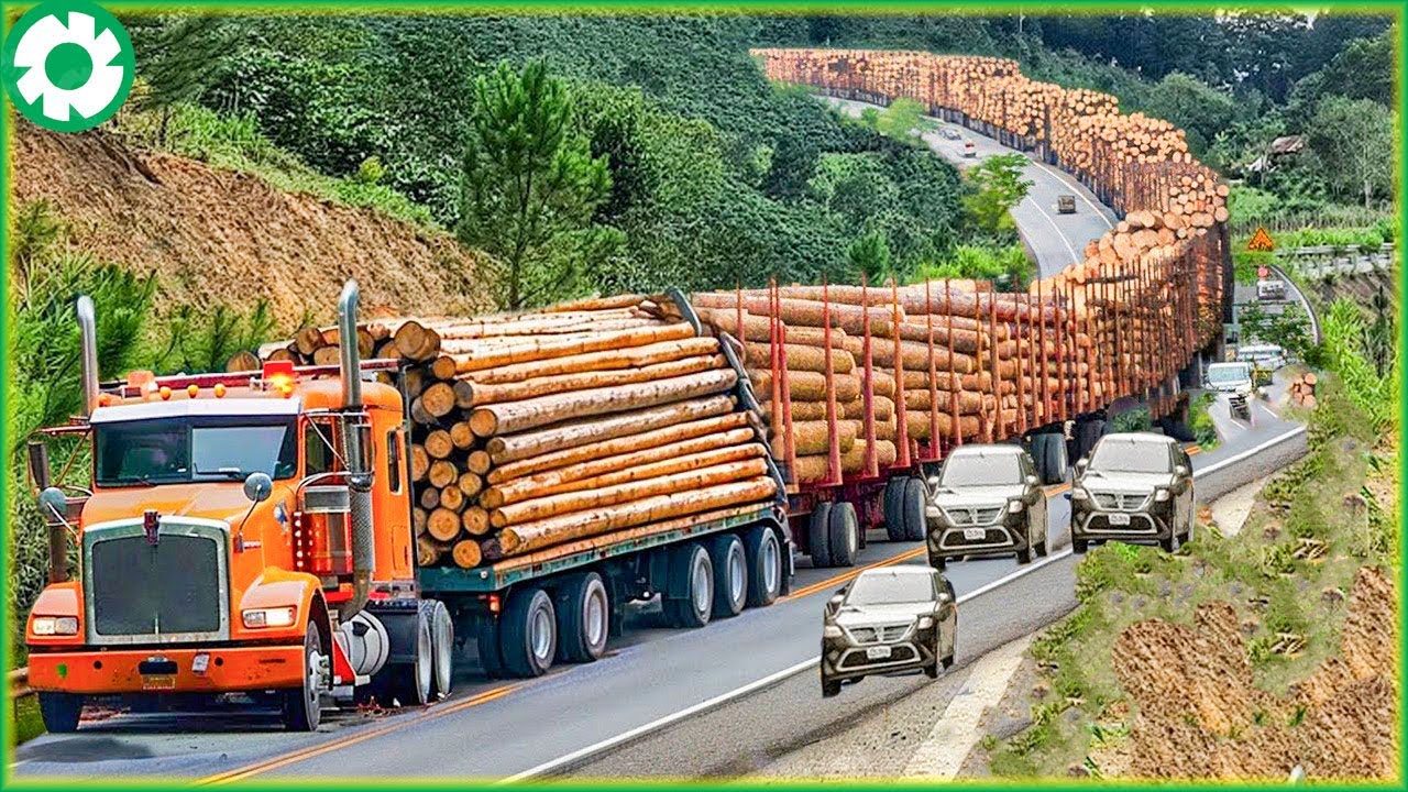 Jaw-Dropping Extreme Dangerous Transport Skill Operations | Biggest Heavy Machinery Machines