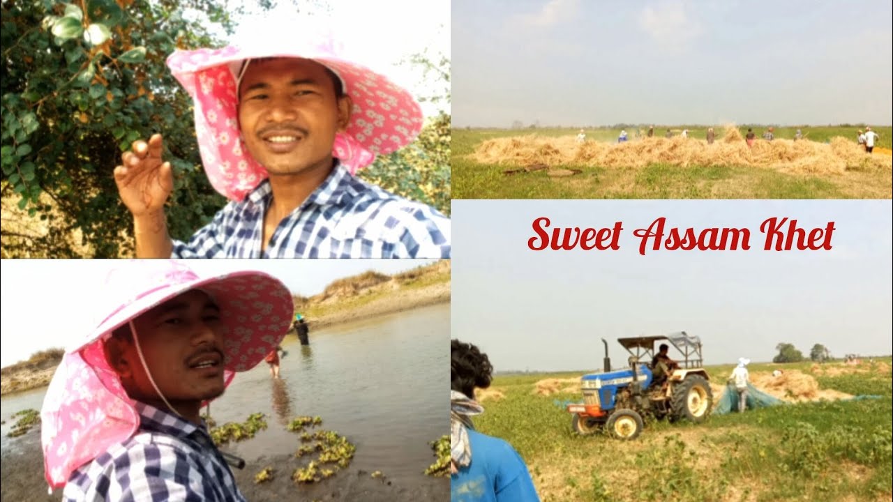More Than 1000 Acres | Kisi Ko Phata Nahi Hai | Ek Aise Jaga Hai Khet Ke Liye | Assam Dhemaji 