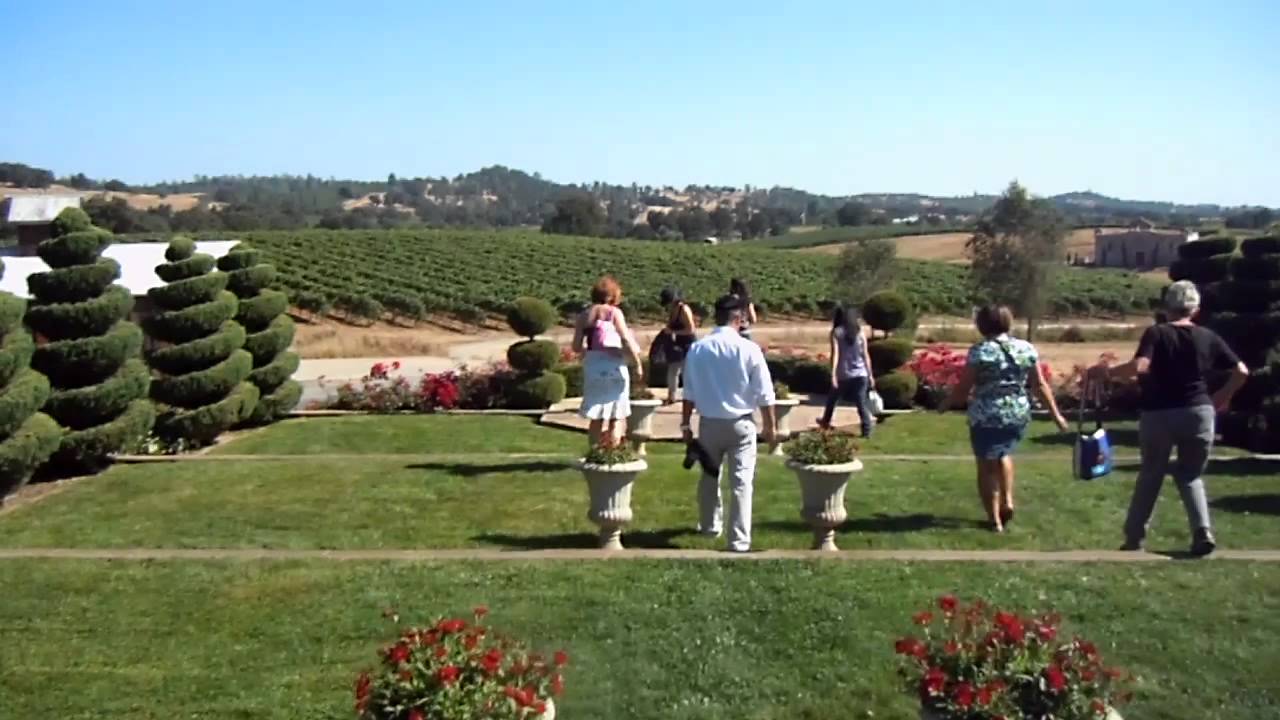 Amador Wine Country in California