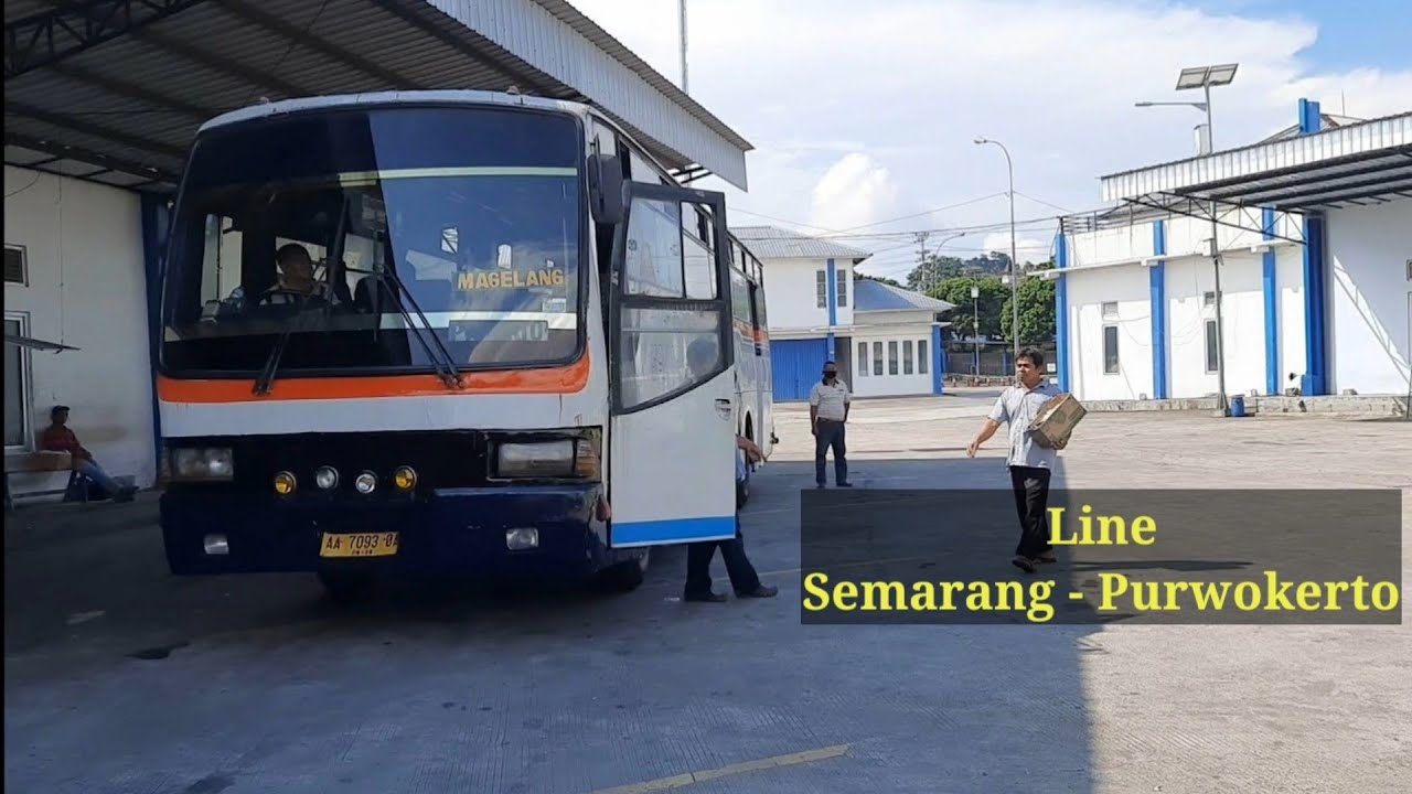 BUS jadul andalan wanita`Trip Santoso jago nanjak,ngebut dikejar Mustika