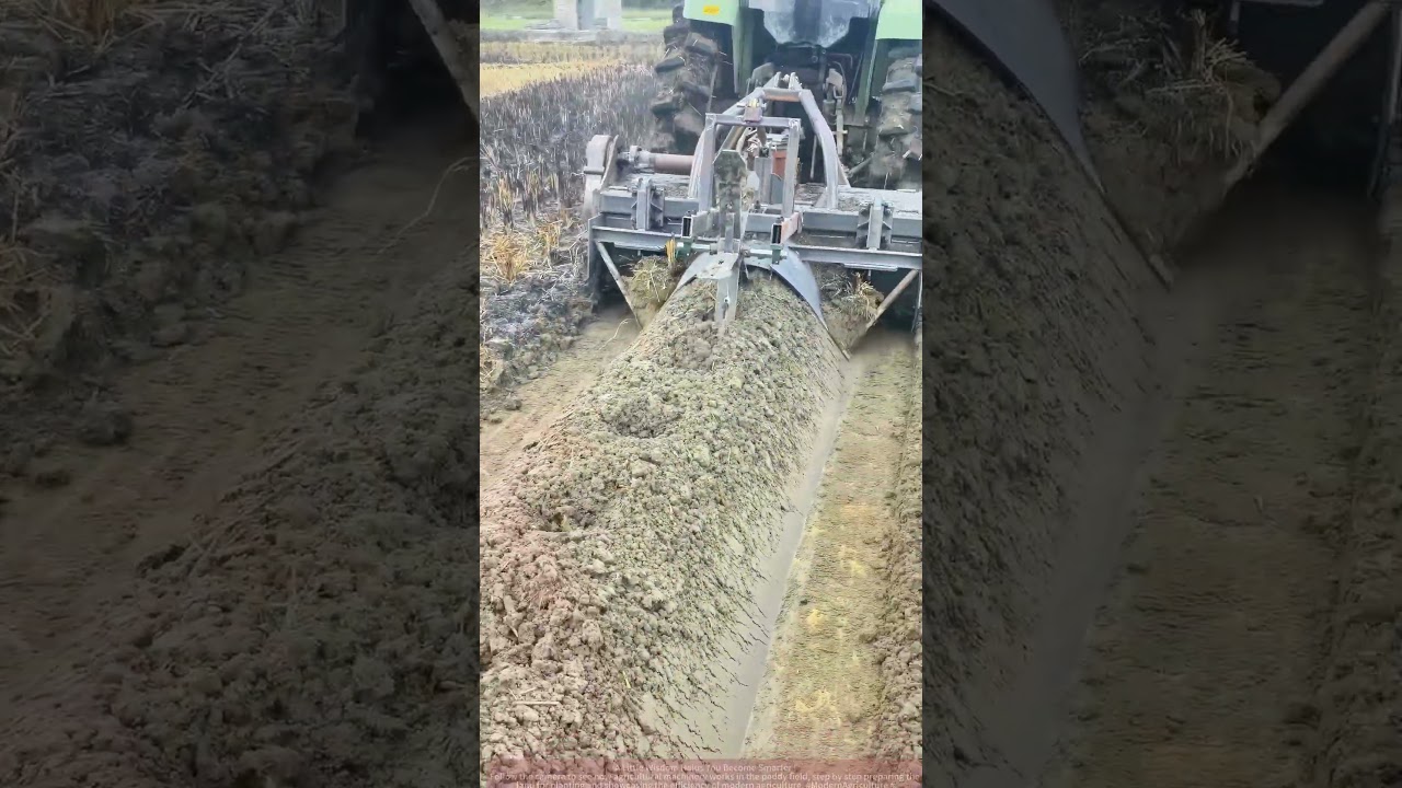 From Field Edge to Center, How Machinery Transforms Farmland? The Whole Process of PaddFiel Preparat