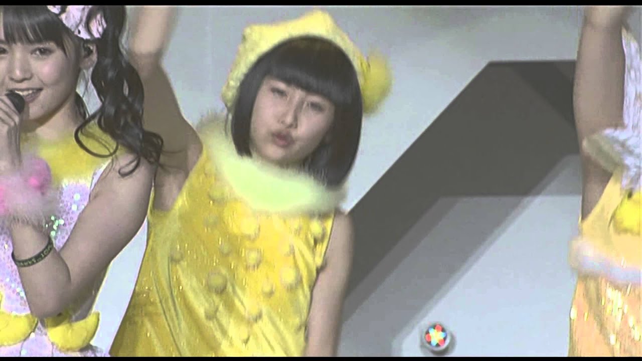 ピョコピョコ ウルトラ まーアングル (LIVE)