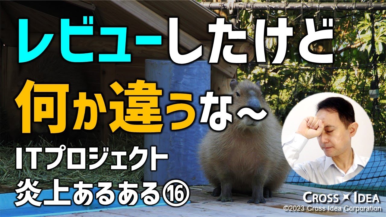【炎上PJあるある】意味のある設計レビューができていない／IPA「ITプロジェクトのリスク予防への実践的アプローチ」から学ぶ、炎上プロジェクトあるある【ITプロジェクトのための プロマネの右腕】