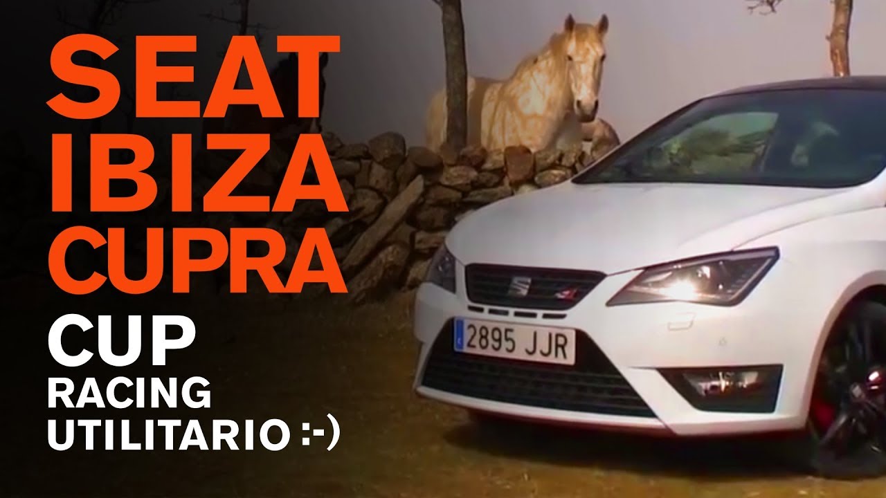 Seat Ibiza Cupra. CUP RACING utilitario :-) - pedalafondo.es
