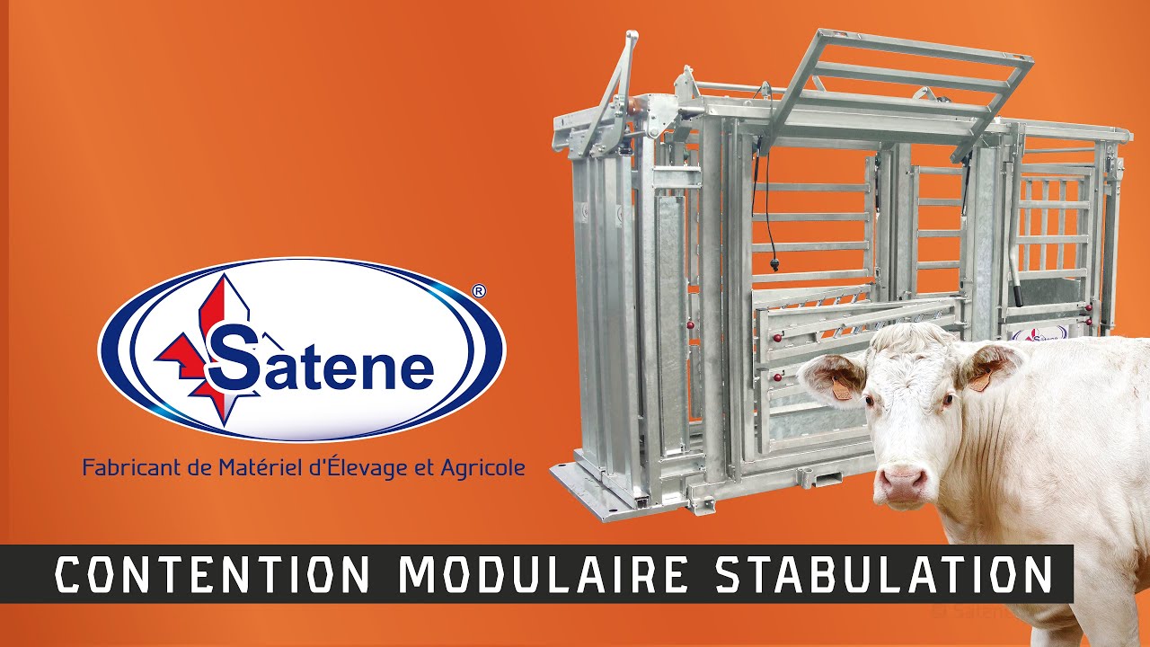 Contention bovine COMBO + cage CCR8000 | Manipulation de bovins, sécurité et sérénité