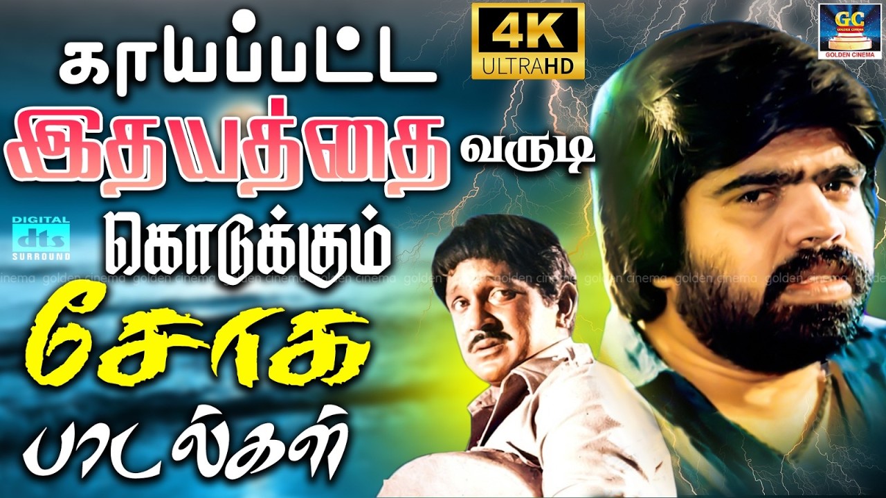 காயப்பட்ட இதயத்தை வருடி கொடுக்கும் சோக பாடல்கள் | Ilayaraja Tamil Soga Padalgal 4K | Janaki.