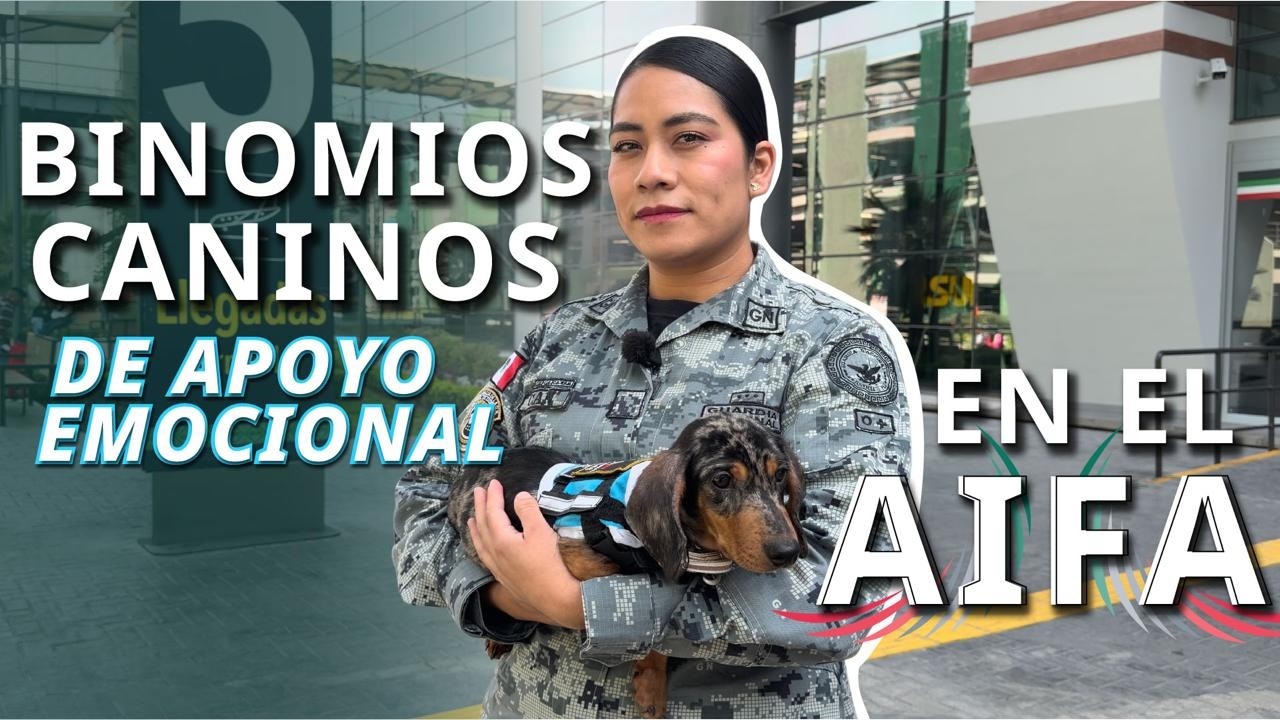 ¿Perros de apoyo emocional en el AIFA? La Guardia Nacional te cuenta sobre este proyecto