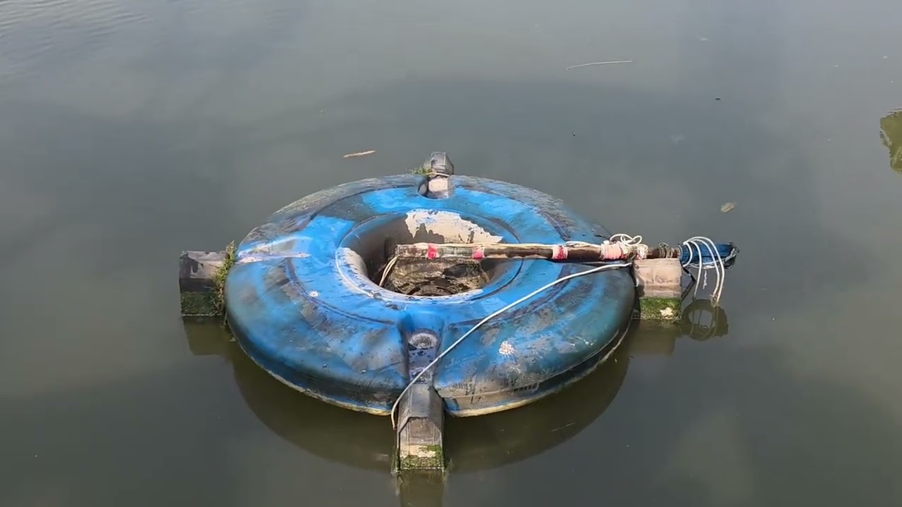 অনেক দিন পরে বাড়ি এসে বাড়ির পাশের পুকুর গুলো ঘুরে দেখলাম