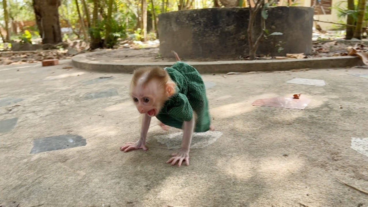 Selena Running Around C-rying To Find Mommy