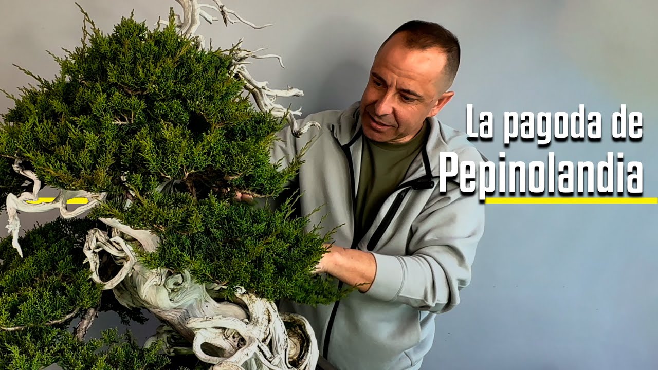 🇪🇸🇪🇸🇪🇸 La Pagoda de Pepinolandía