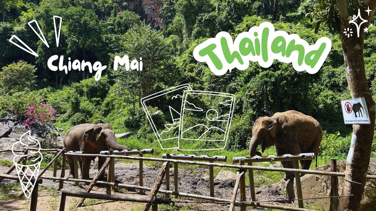 SE Asia | chilling with elephants 🐘 