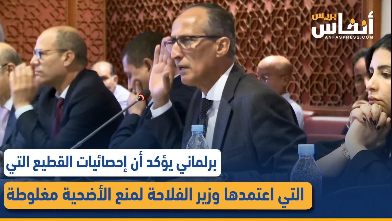 برلماني يؤكد أن إحصائيات القطيع التي اعتمدها وزير الفلاحة لمنع الأضحية مغلوطة