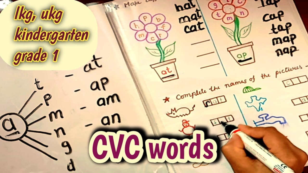 three letter words || vowel a || cvc words || worksheets for class nursery,  kindergarten ||