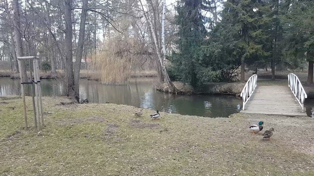 Lázně Mšené v lockdownu