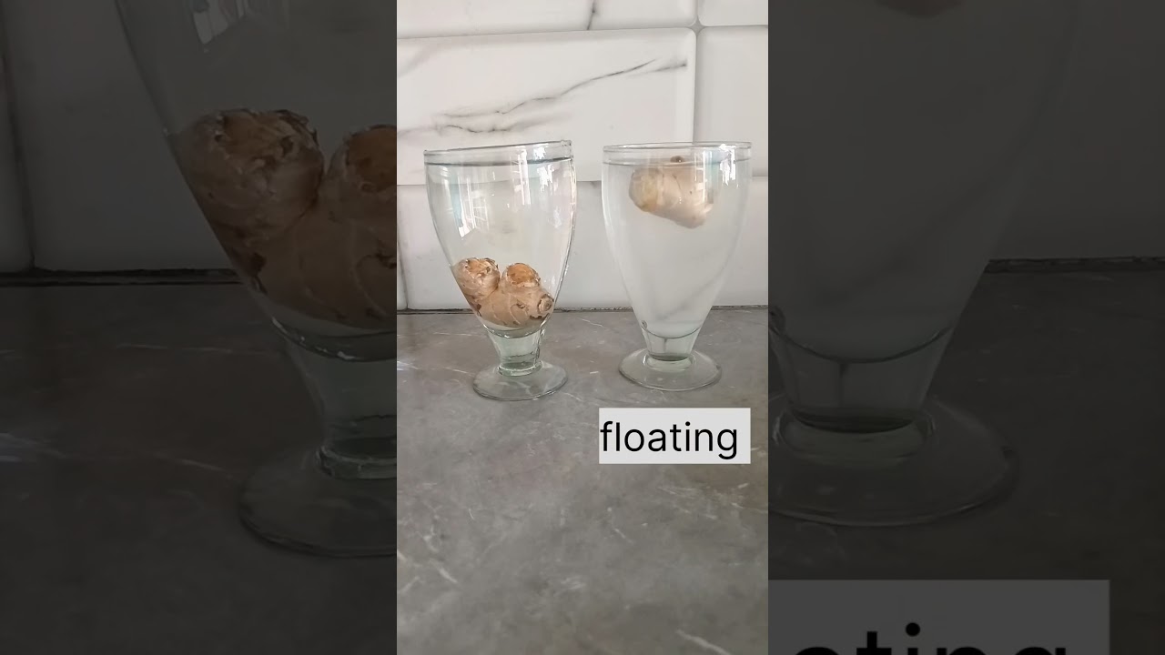Density experiment with ginger 